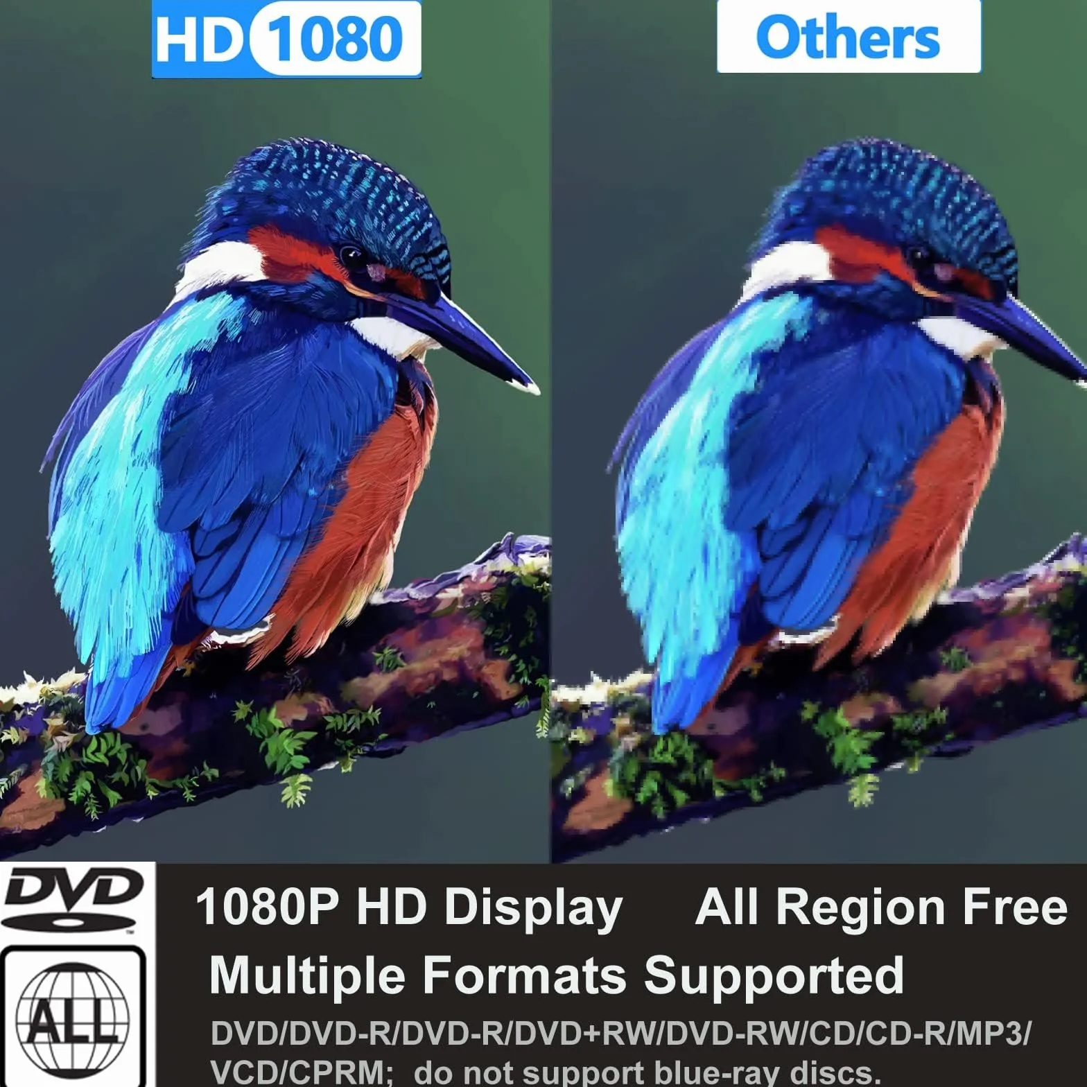DVD CD Player für Fernseher, Up-Convert to HD 1080p, All Region, Breakpoint Memory, Eingebautes PAL/NTSC, USB 2.0