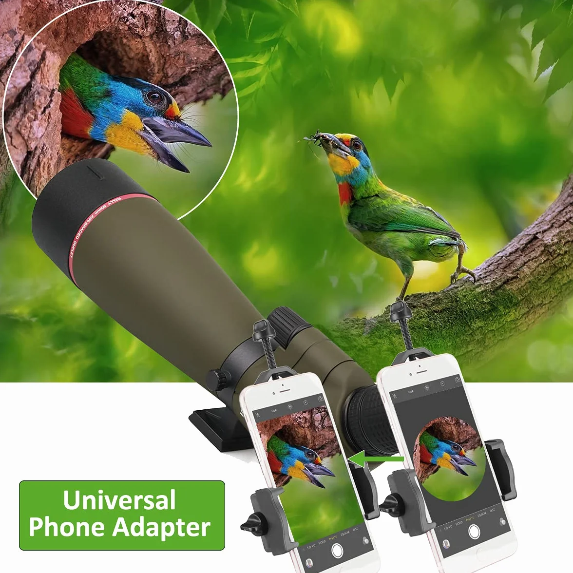Svbony SV13 20-60x80 Spektiv Vogelbeobachtung mit Smartphone Adapter, HD FMC Wasserdicht Spektive mit Tragetasche, Porro Prisma Spotting Scope für Sportschützen Wildlife Scenery