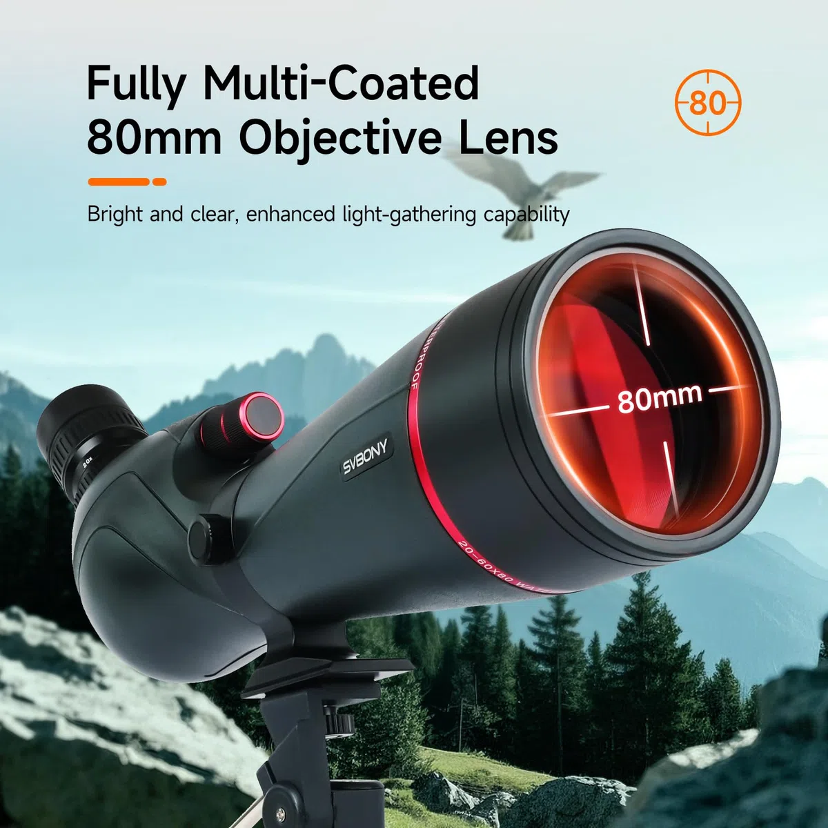 Svbony SV406 20–60x80 mm Spektiv, HD FMC BAK4 Porro Prism für Sportschützen mit Dual Focus, 1.25'' Abnehmbares Okular, IPX7 Wasserdicht mit Stativ Tragetasche für Vogelbeobachtung Wildtiere Scenery