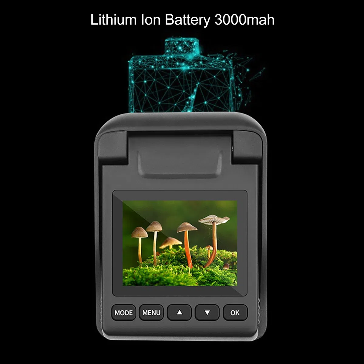 Bewinner Zeitraffer Kamera - 3200W 4K Vollfarb Timelapse Camera, 2 Zoll Kippbildschirm wasserdichte Kamera, Makroaufnahme, Wasserdicht nach IP66, 6 Monate Akkulaufzeit