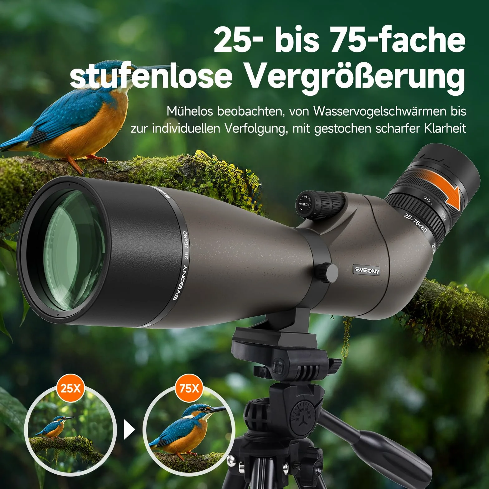Svbony SV29 25-75x80mm Spektiv mit Schwalbenschwanz und Stativ, Großem Sehfeld, Porroprisma FMC, Smartphone-Adapter für Zielschießen, Vogelbeobachtung und Tägliche Beobachtung