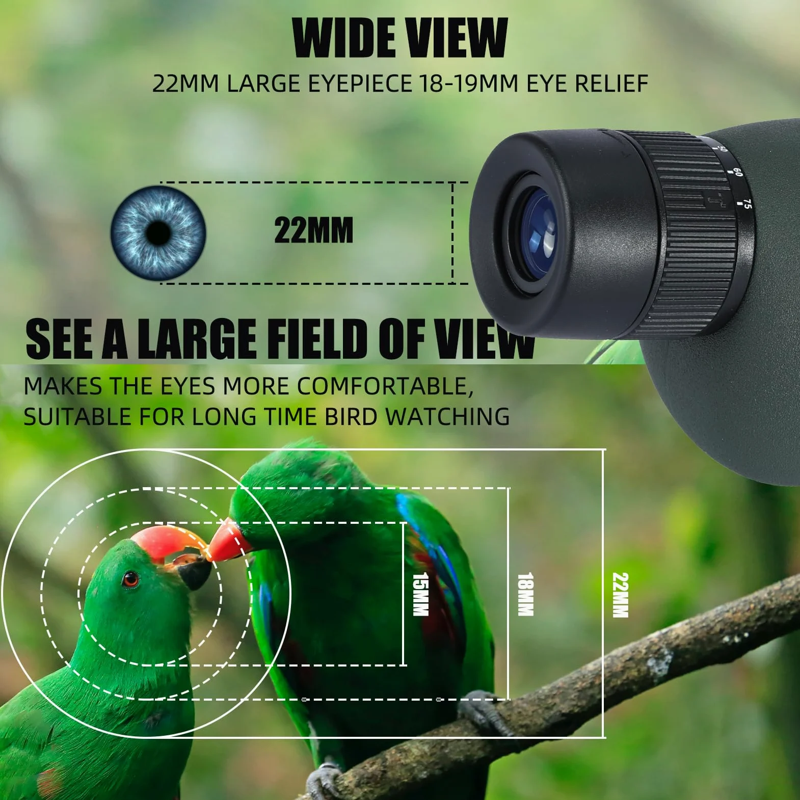 25-75X Spektive mit Stativ, Zoom Wasserdichtes BAK4 Prisma-Monokular-Teleskop für Vogelbeobachtung, Zielschießen, Wildtiere, Jagd und Landschaft, mit Telefonadapter und Hülle