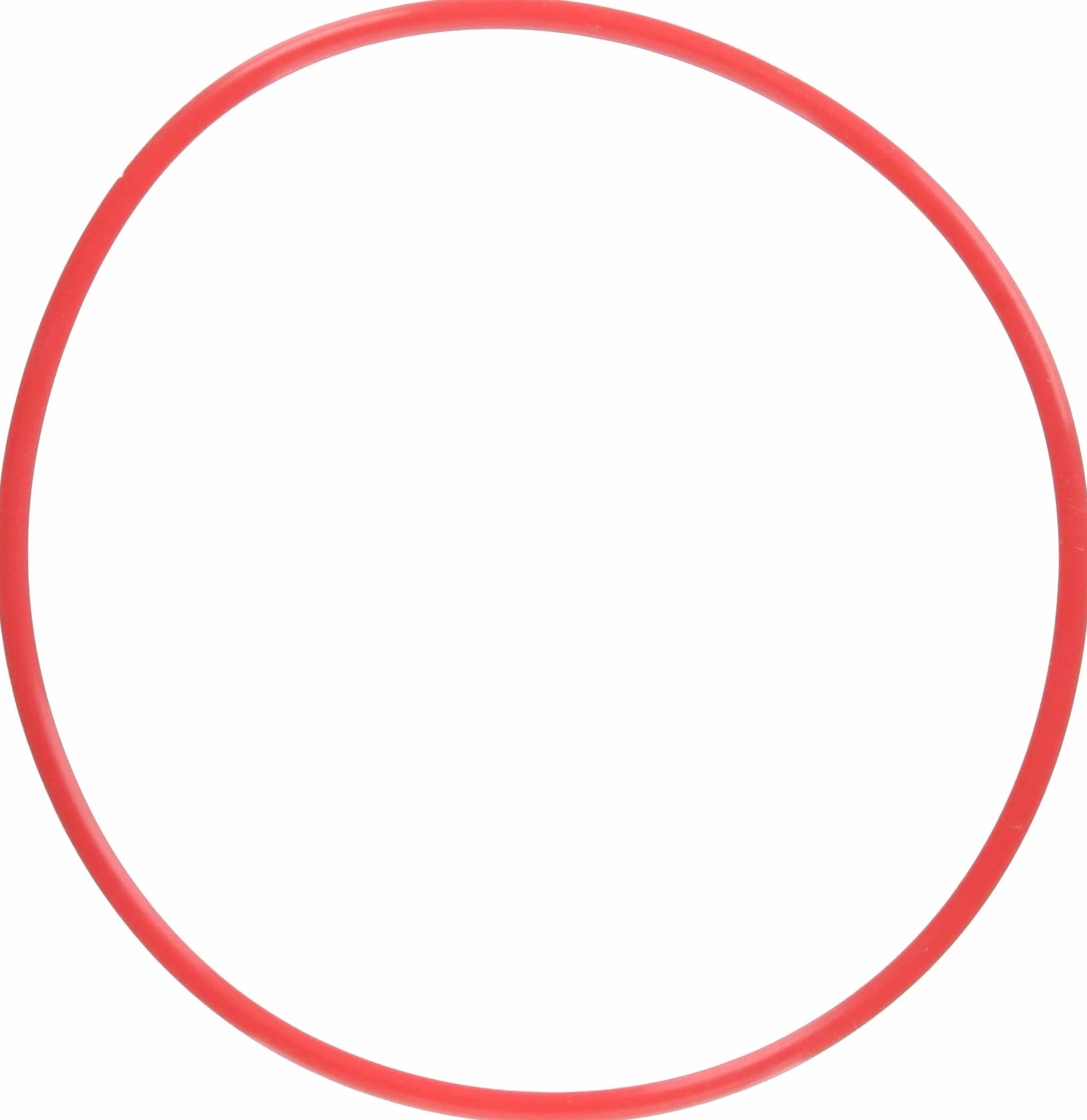 Olympus POL-058 O-Ring für Unterwassergehäuse PT-058 rot