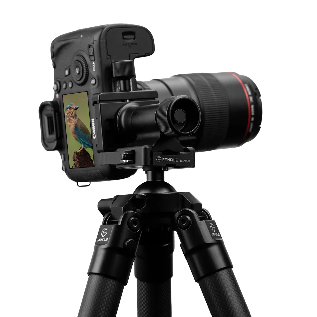 Monopod Gimbal Head with Arca-Swiss Dovetail Quick Release Plate | Rapid Side-Saddle Tilt Adjustment for Teleobjektive | Tripod Mount | Professional Photography & Video Gear for DSLR/Camcorders