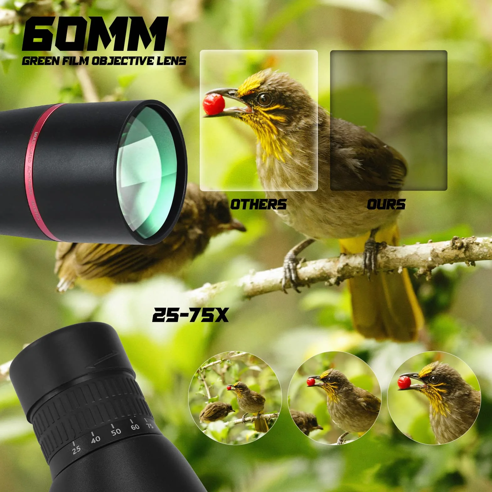 BOSSDUN Spektiv 25-75x60, HD Dual Focus Spektiv, BAK4 FMC ED Spektiv, Geschenke für Zielschießen Vogelbeobachtung Jagd Bogenschießen Wildtierbeobachtung mondbeobachtung