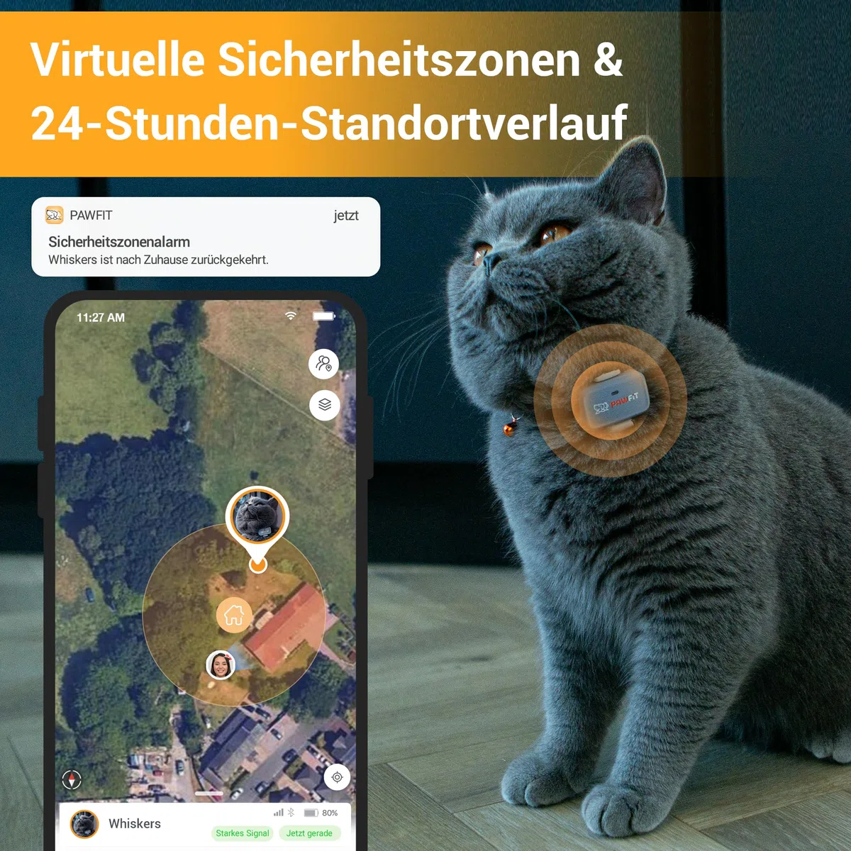 Pawfit Lite für Katzen 4G GPS-Tracker | Ultrakompakt <18g | Echtzeit-Tracking & Aktivität | Standortverlauf | Sicherheits-Halsband inkl. | Weiß