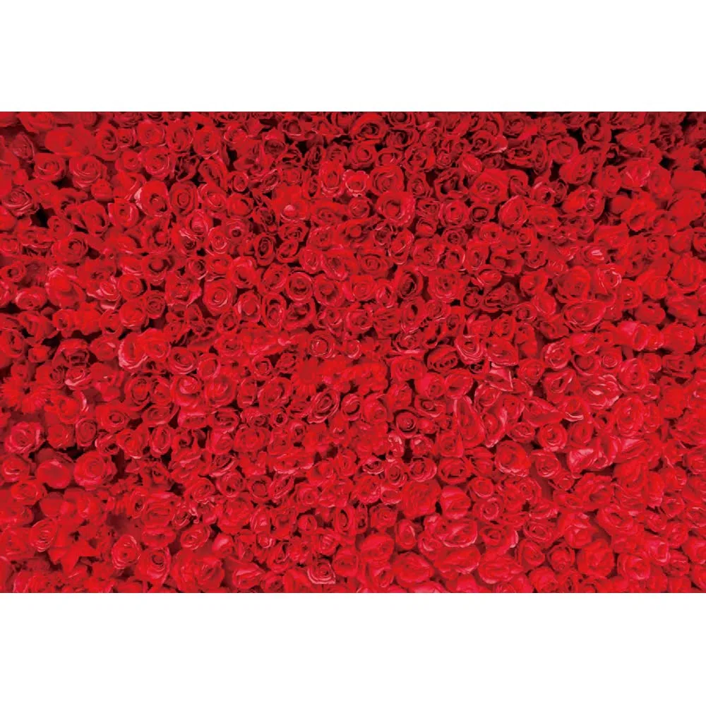 6.1x3 m rote Rose Fotografie Hintergrund rote Rose Blume Wandhintergrund Rose Blumen Hochzeit Brautdusche Geburtstag Party Dekoration Hintergrund Banner Valentinstag Muttertag Foto Hintergründe