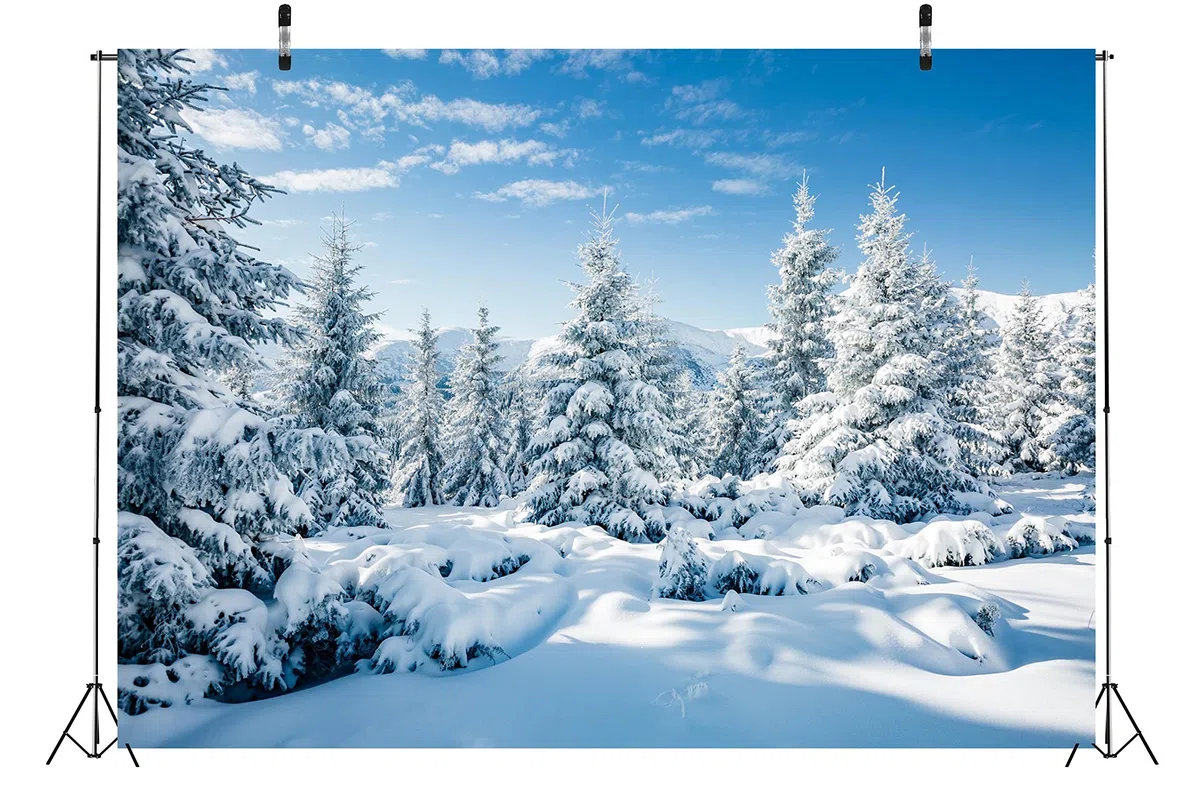 BELECO 6x3m Stoff Winter Schnee Wald Hintergrund weiß Weihnachtsbäume Winter Szene Alpen Fotografie Hintergrund für Weihnachten Neujahr Event Party Dekorationen Banner Foto