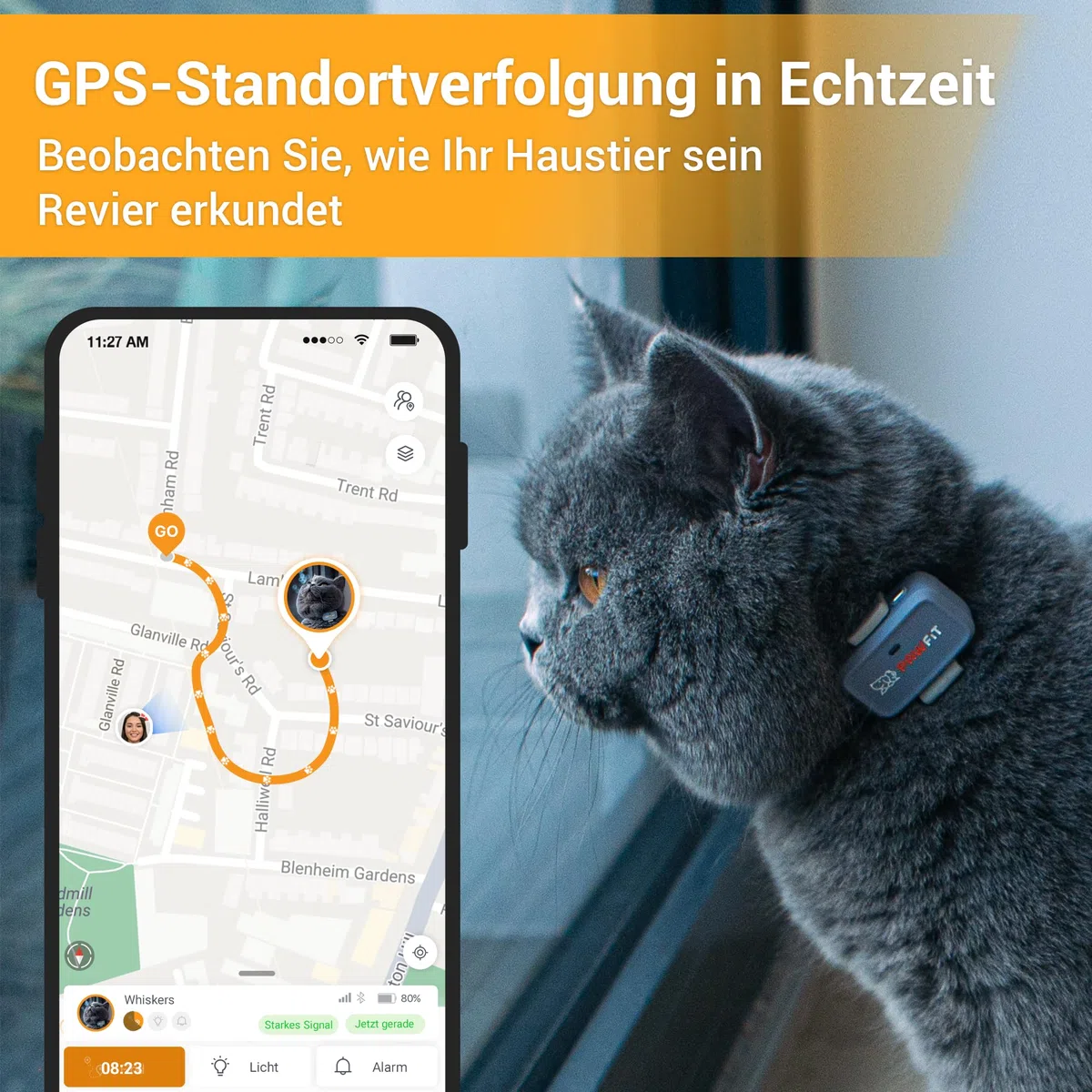 Pawfit Lite für Katzen 4G GPS-Tracker | Ultrakompakt <18g | Echtzeit-Tracking & Aktivität | Standortverlauf | Sicherheits-Halsband inkl. | Weiß