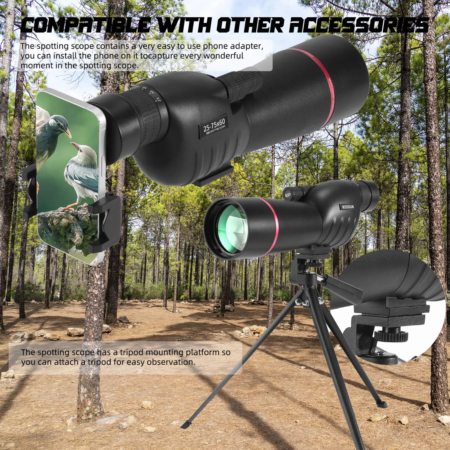 BOSSDUN Spektiv 25-75x60, HD Dual Focus Spektiv, BAK4 FMC ED Spektiv, Geschenke für Zielschießen Vogelbeobachtung Jagd Bogenschießen Wildtierbeobachtung mondbeobachtung