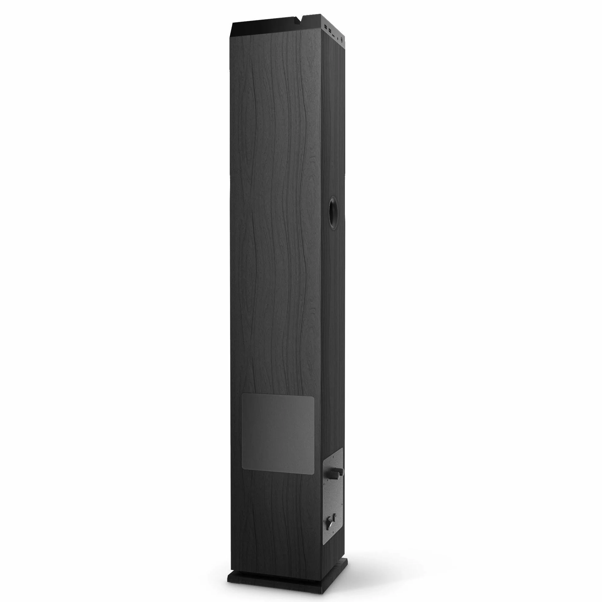 Energy Sistem Tower 5 MAX Bluetooth Lautsprecher Turm 100W Sound Tower Musikbox mit Subwoofer True Wireless Stereo USB SD FM Radio Standlautsprecher kabelloser Lautsprecher schwarz