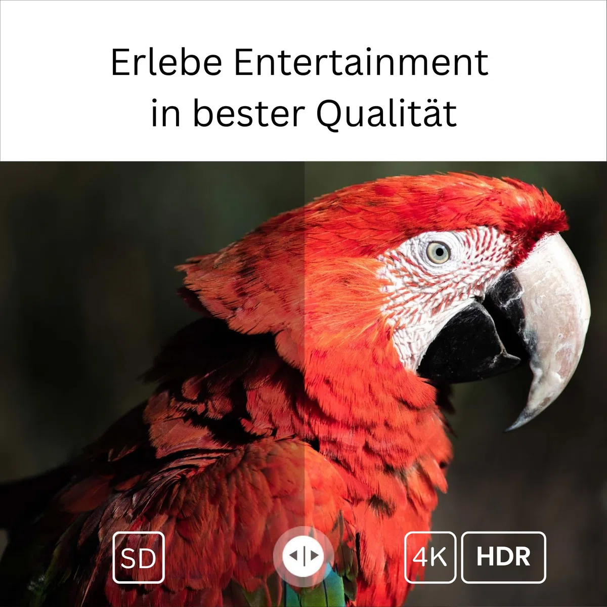 GD2 4K Streaming Box - Google TV Smart Mediaplayer, Unterstützt Netflix & Prime in 4K, AV1, HDR10+, LAN, 2X USB, Dualband WiFi, Sprachsteuerung