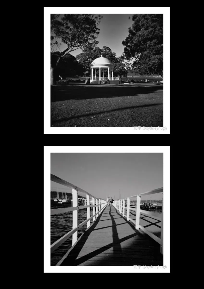 Holga 120N Rollfim Kamera artLINE im Set mit schwarz/weiß Film und Batterien