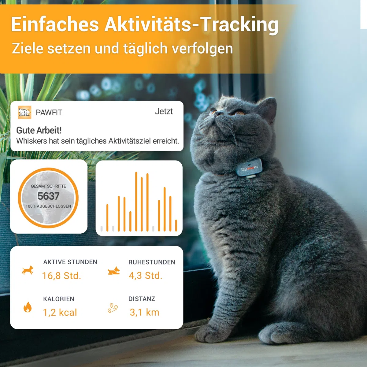 Pawfit Lite für Katzen 4G GPS-Tracker | Ultrakompakt <18g | Echtzeit-Tracking & Aktivität | Standortverlauf | Sicherheits-Halsband inkl. | Weiß
