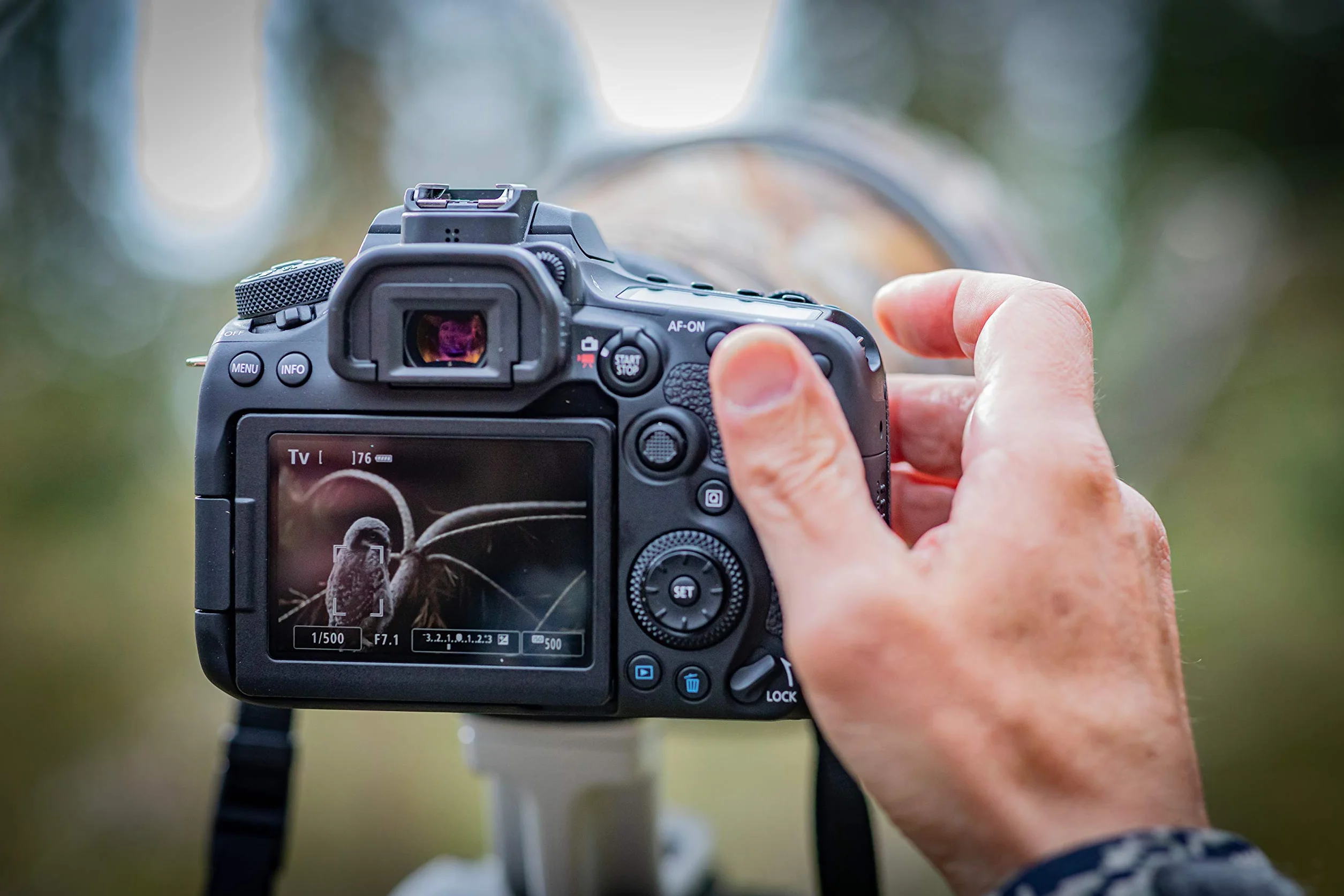 Canon EOS 90D Spiegelreflexkamera Gehäuse - mit Objektiv EF-S 18-55mm F3.5-5.6 IS STM (32,5 MP, 7,7 cm (3 Zoll) Vari-Angle Touch LCD Display , APS-C Sensor, 4K, Full-HD, WLAN, Bluetooth), schwarz