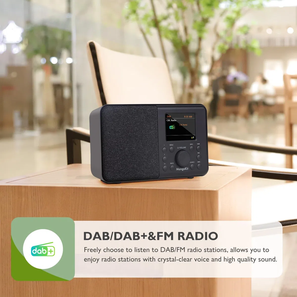 SR10 Internet Radio mit DAB/DAB+,WIFI Radio mit Podcast Player,Smart DAB Radio mit Bluetooth,FM Radio,Küchenradio mit Netz- und Batteriebetrieb,Farbdisplay,Doppelalarm,Presets Support-Schwarz